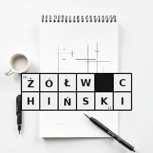 Hasło krzyżówkowe chine - żółw chiński – rozwiązanie, synonimy, podpowiedzi i definicje krzyżówkowe